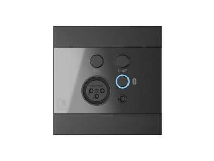 WP225/B Vstupní panel Bluetooth černý AUDAC