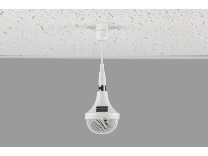 C303W RF 001