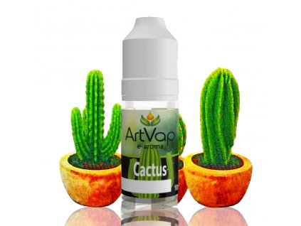 mockup Art Vap Cactus 1