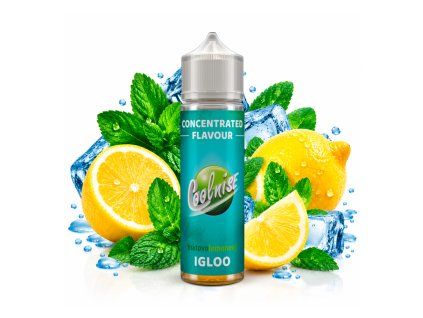 CoolniSE Shake and Vape IGLOO