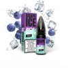 Riot BAR EDTN Salt Grape Ice (Ledové hroznové víno) 10ml