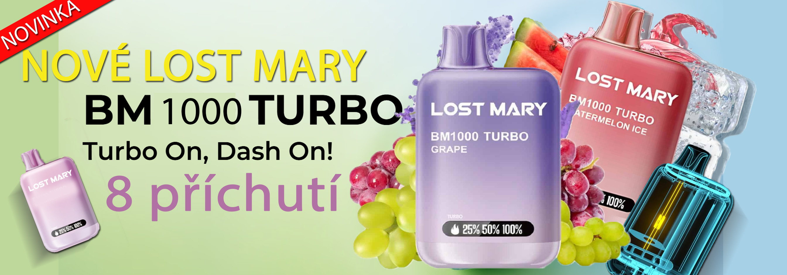 LOST MARY 1000 TURBO