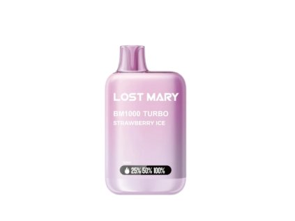 LOST MARY.. (1)