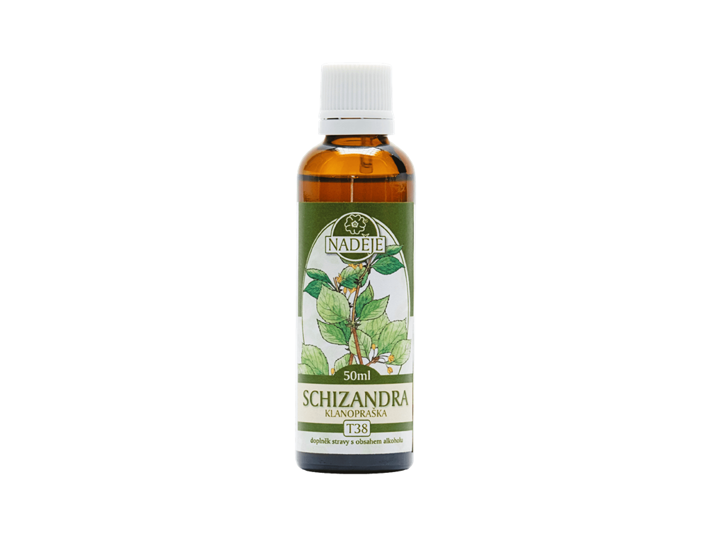 T38 chizandra