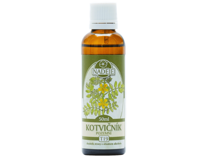 T19 kotvicnik