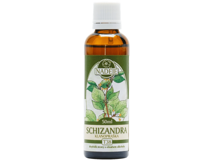 T38 chizandra