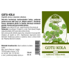T10 gotu kola 2
