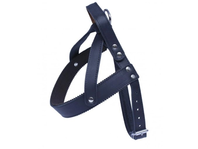 sluzebni postroj s uchem