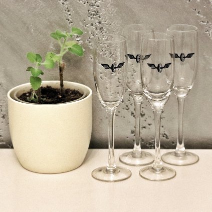 Skleničky na šampaňské (4 ks) - OKŘÍDLENÉ KOLO