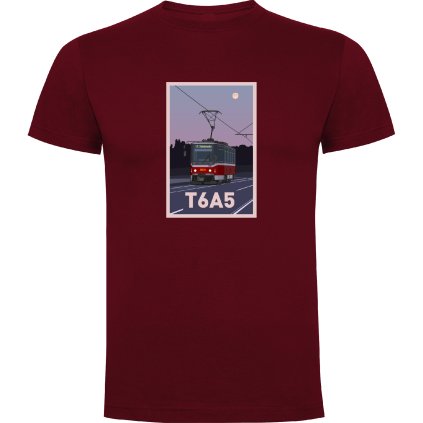 t6a5 maroon pp