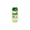 36979 1 36979 palmolive wellness