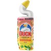31123 1 duck tropical summer tek