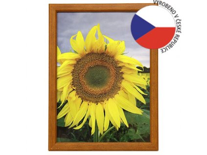 Hama 1201 rámeček dřevěný TRAVELLER II korek, 15x21cm