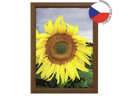 Hama 1202 rámeček dřevěný TRAVELLER II hnědá, 15x21cm