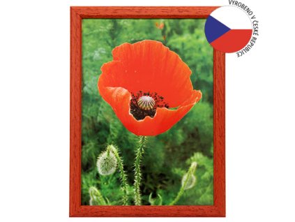Hama 1208 rámeček dřevěný TRAVELLER II červená, 15x21cm
