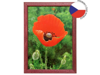 Hama 1203 rámeček dřevěný TRAVELLER II bordó, 15x21cm