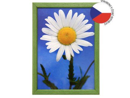 Hama 1118 rámeček dřevěný TRAVELLER II, zelený, 21x29,7 cm