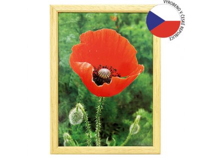 Hama 1025 rámeček dřevěný TRAVELLER II, přírodní, 21x29,7 cm