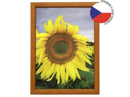 Hama 1029 rámeček dřevěný TRAVELLER II, korek, 21x29,7 cm