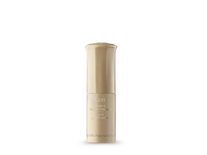 Swept Up Volume Powder Spray