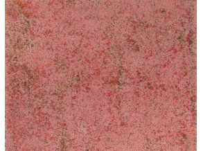 Snímek obrazovky 2024 12 11 194901