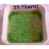 skleněná drť č.25 - travní zelená (průhledná) 500g