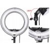 3100 4 studio fluorescencni kruhove svetlo ring 12 45w lampa stativ