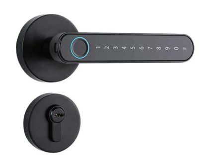 BOT Chytrá klika TTLock SH1 černá