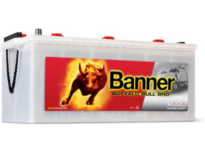 Banner Buffalo Bull 12V, 225Ah,1050A, 72511