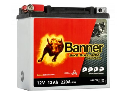 Bike Bull AGM PRO ETX 14