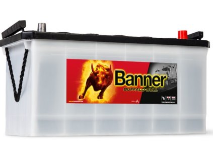 Banner Buffalo Bull 12V, 100Ah, 600A, 60026