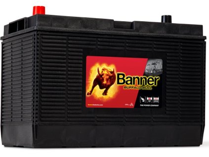 Banner Buffalo Bull 12V, 105Ah,1000A, 60502