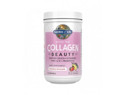 Collagen beauty jahoda a citron kolagen 270g 500x600