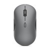 Lenovo 700 Multi-Device Wireless Silent Mouse (Luna Grey)