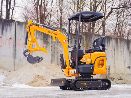 BAUGARDENBG1210 02 01