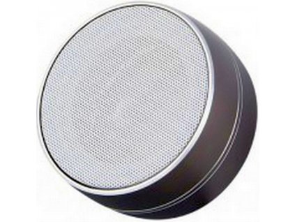 Mini bluetooth speaker F2724