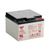 Yuasa 12V 24Ah M5 (NP24 12I)