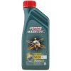 Castrol Magnatec Professional DX 5W30 1 l