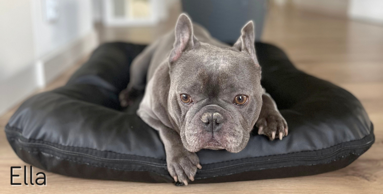 Ella