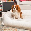 Antistresové pelíšek pro psa boucle LEO PREMIUM