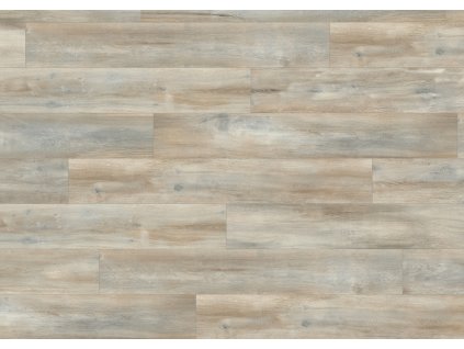 EPL068 F1 classic wv4 frontal 10DE flo