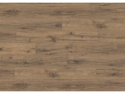 EPL019 F1 classic wv4 frontal 10DE flo