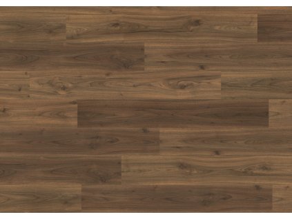 EPL067 F1 classic frontal 10DE flo