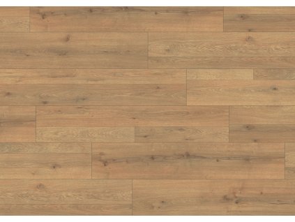 EPL072 F1 large wv4 frontal 10DE flo