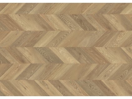 EPL009 F4 large wv2 frontal 10DE flo