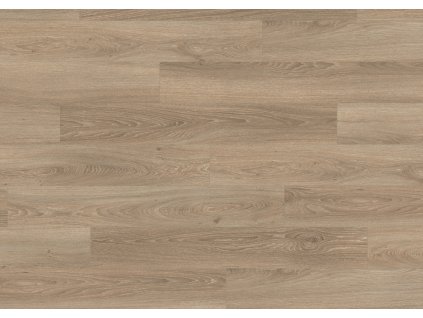 EPL102 ST54 classic wv4 frontal 10DE flo