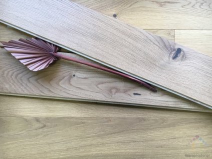drevena podlaha oak nature dvouvrstva brno strawberry parkett e podlaha