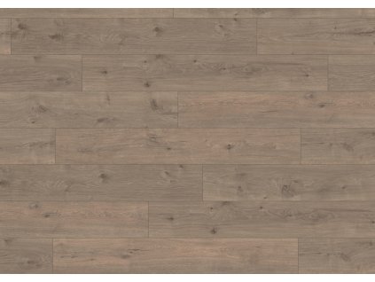 EPL138 F1 classic wv4 frontal 10DE flo