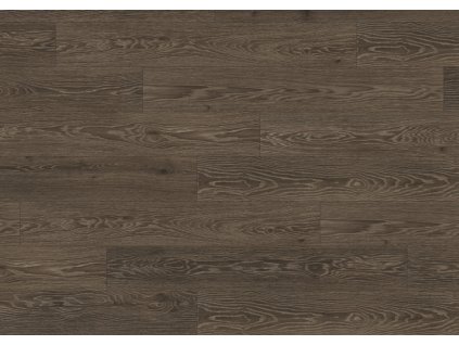 EPL152 ST49 classic wv4 frontal 10DE flo