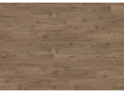 EPL146 ST47 classic wv4 frontal 10DE flo